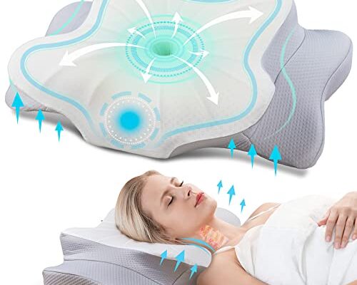 Best Cervical Neck Pillow