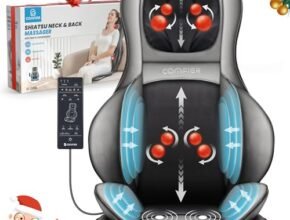Best Chair Massager Pad