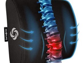 Best Lumbar Support Pillows For Cars