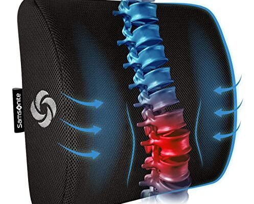 Best Lumbar Support Pillows For Cars