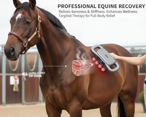 Best Equine Massage Gun