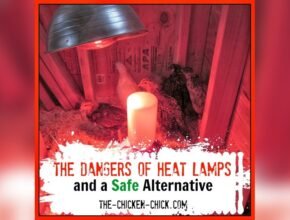 Are Infrared Heat Lamps Safe for Home Use