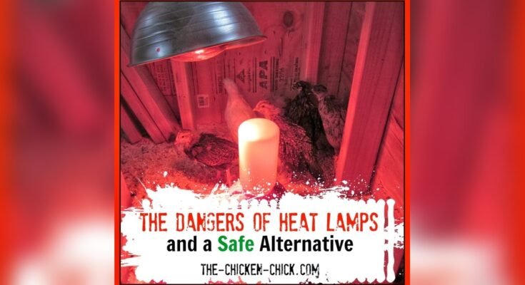 Are Infrared Heat Lamps Safe for Home Use