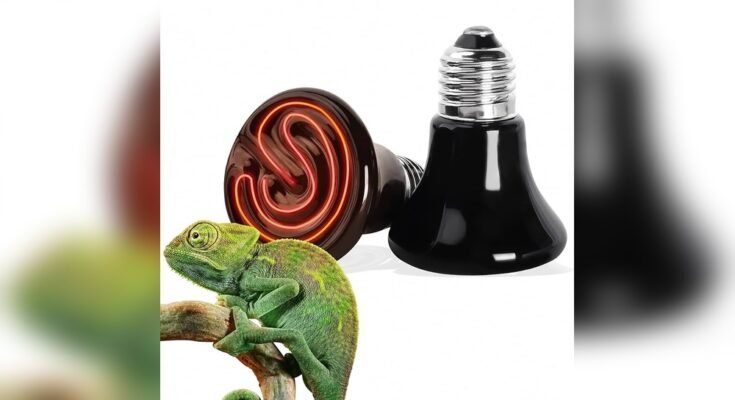 Are Infrared Heat Lamps Safe for Pets