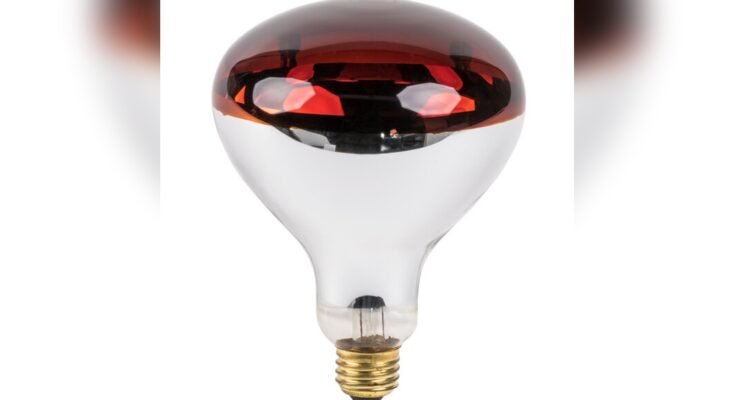 How to Use Infrared Heat Lamps Safely