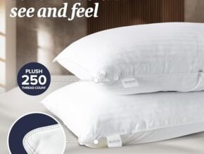 Best Pillows For Back Sleepers