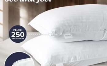 Best Pillows For Back Sleepers